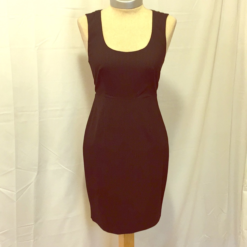 Express BW Pinstripe Work Dress W/ Gold Zipper